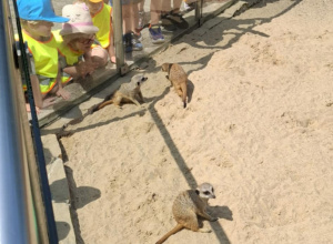 ZOO Borysew 2025