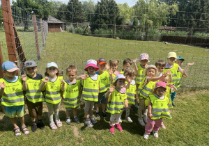 Zdjęcie 2 na 12