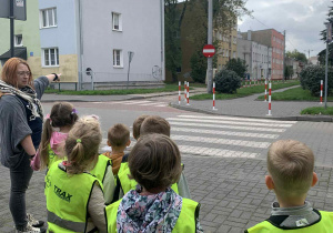 Zajączki na spacerze